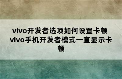 vivo开发者选项如何设置卡顿 vivo手机开发者模式一直显示卡顿